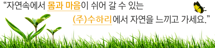 자연에서 몸과 마음이 쉬어갈 수 있는 품안애행복마을에서 자연을 만끽하세요!